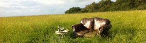 Relax in nature, put your feet up in a field and enjoy a refreshing drink